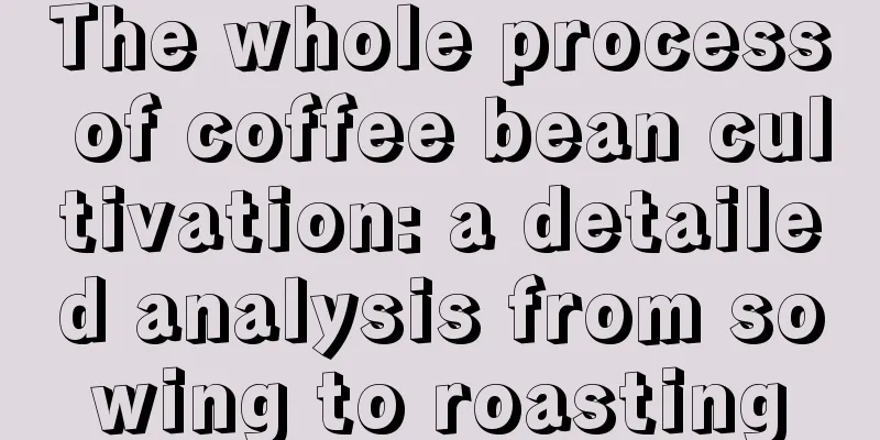 The whole process of coffee bean cultivation: a detailed analysis from sowing to roasting