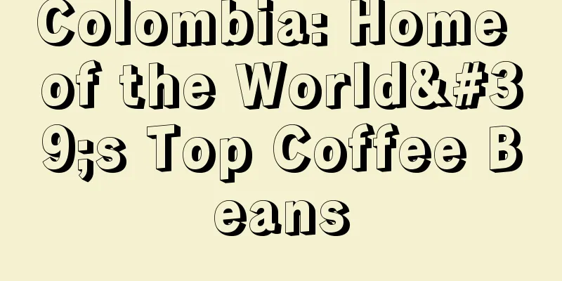 Colombia: Home of the World's Top Coffee Beans