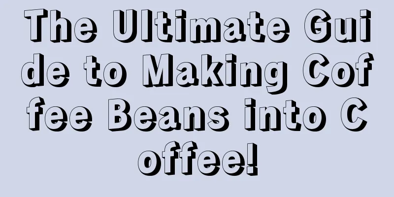 The Ultimate Guide to Making Coffee Beans into Coffee!