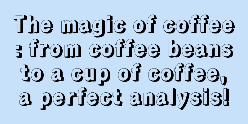 The magic of coffee: from coffee beans to a cup of coffee, a perfect analysis!