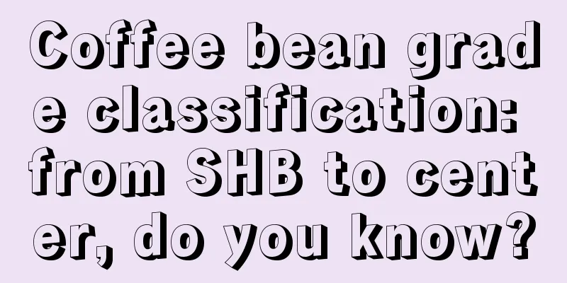 Coffee bean grade classification: from SHB to center, do you know?