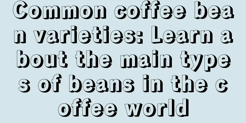 Common coffee bean varieties: Learn about the main types of beans in the coffee world