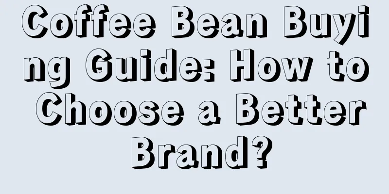 Coffee Bean Buying Guide: How to Choose a Better Brand?