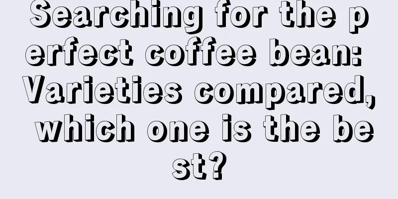 Searching for the perfect coffee bean: Varieties compared, which one is the best?