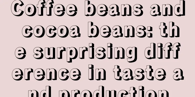 Coffee beans and cocoa beans: the surprising difference in taste and production