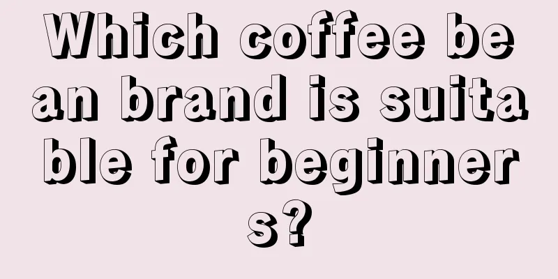 Which coffee bean brand is suitable for beginners?