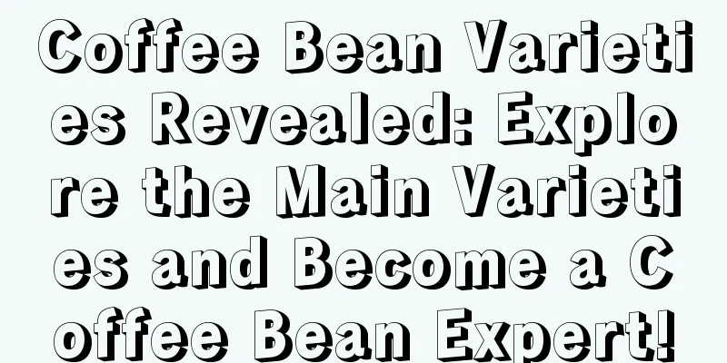 Coffee Bean Varieties Revealed: Explore the Main Varieties and Become a Coffee Bean Expert!