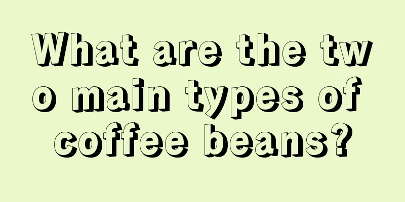 What are the two main types of coffee beans?