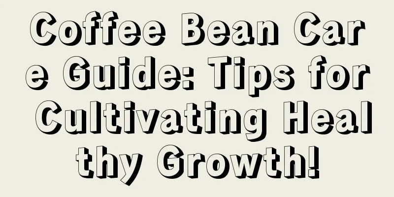 Coffee Bean Care Guide: Tips for Cultivating Healthy Growth!