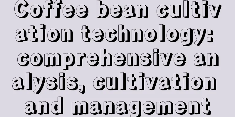 Coffee bean cultivation technology: comprehensive analysis, cultivation and management