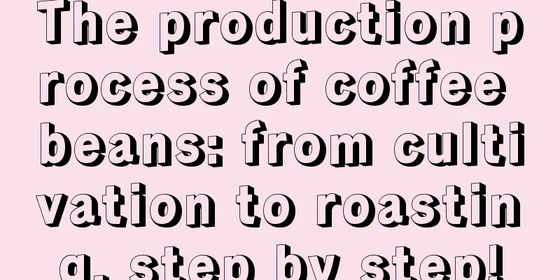 The production process of coffee beans: from cultivation to roasting, step by step!