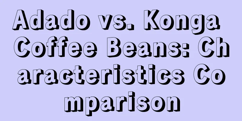 Adado vs. Konga Coffee Beans: Characteristics Comparison