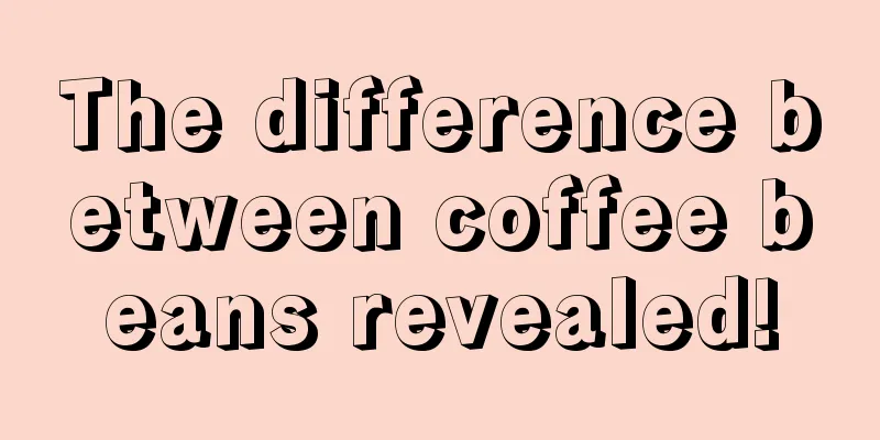 The difference between coffee beans revealed!