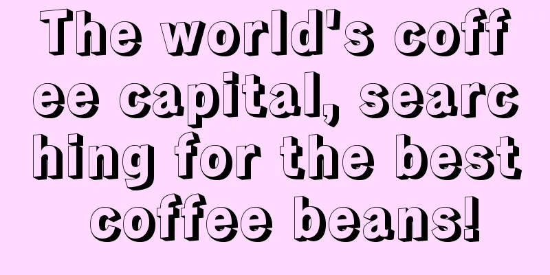 The world's coffee capital, searching for the best coffee beans!