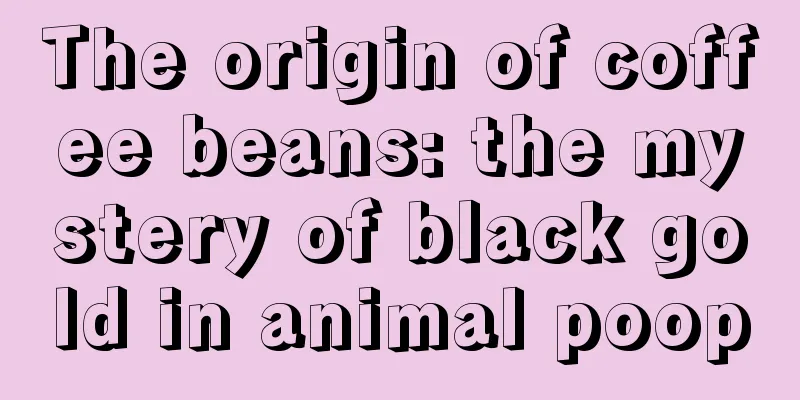 The origin of coffee beans: the mystery of black gold in animal poop