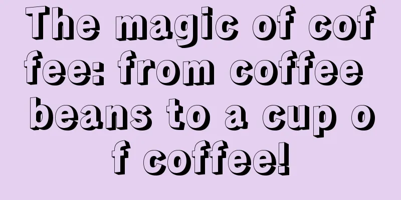 The magic of coffee: from coffee beans to a cup of coffee!