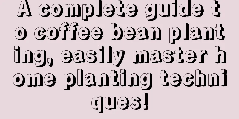 A complete guide to coffee bean planting, easily master home planting techniques!