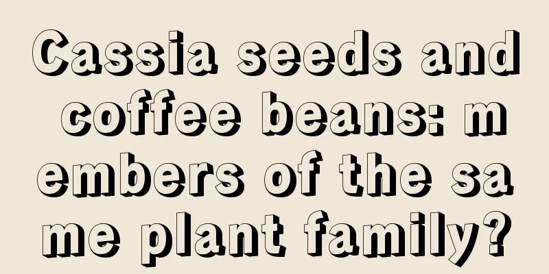 Cassia seeds and coffee beans: members of the same plant family?