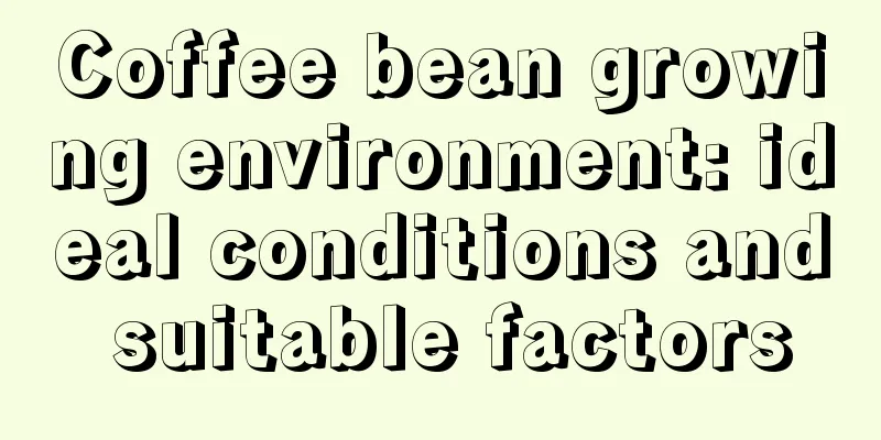 Coffee bean growing environment: ideal conditions and suitable factors