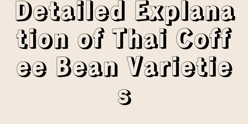 Detailed Explanation of Thai Coffee Bean Varieties