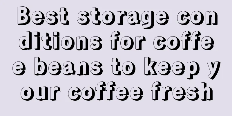 Best storage conditions for coffee beans to keep your coffee fresh