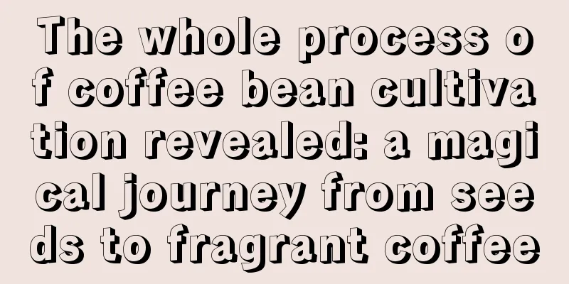 The whole process of coffee bean cultivation revealed: a magical journey from seeds to fragrant coffee