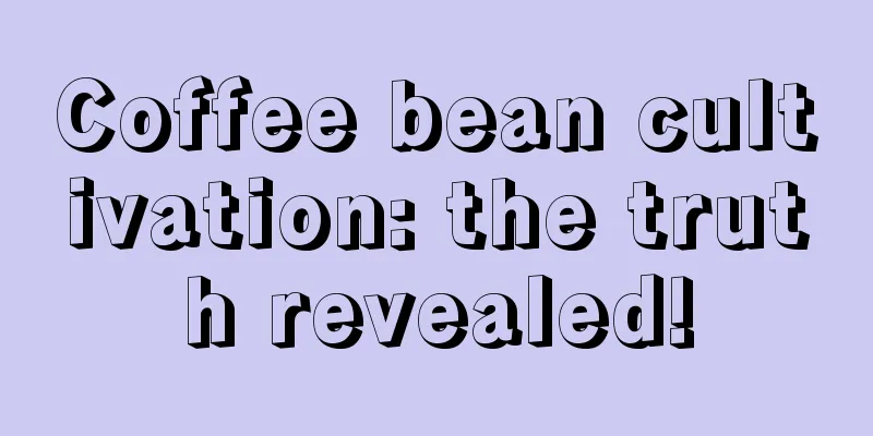 Coffee bean cultivation: the truth revealed!