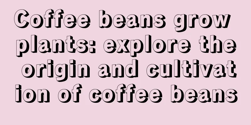 Coffee beans grow plants: explore the origin and cultivation of coffee beans