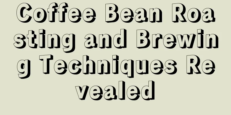 Coffee Bean Roasting and Brewing Techniques Revealed