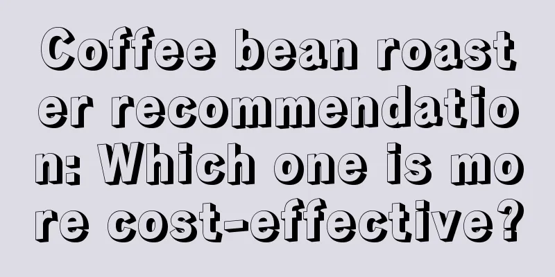 Coffee bean roaster recommendation: Which one is more cost-effective?