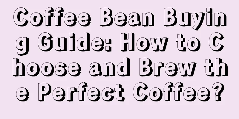 Coffee Bean Buying Guide: How to Choose and Brew the Perfect Coffee?