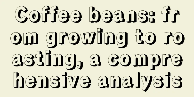 Coffee beans: from growing to roasting, a comprehensive analysis