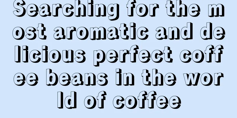 Searching for the most aromatic and delicious perfect coffee beans in the world of coffee