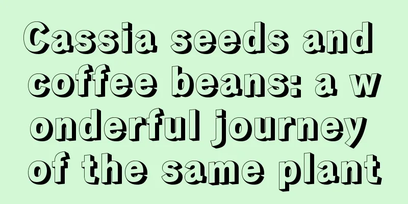 Cassia seeds and coffee beans: a wonderful journey of the same plant