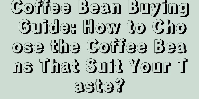 Coffee Bean Buying Guide: How to Choose the Coffee Beans That Suit Your Taste?