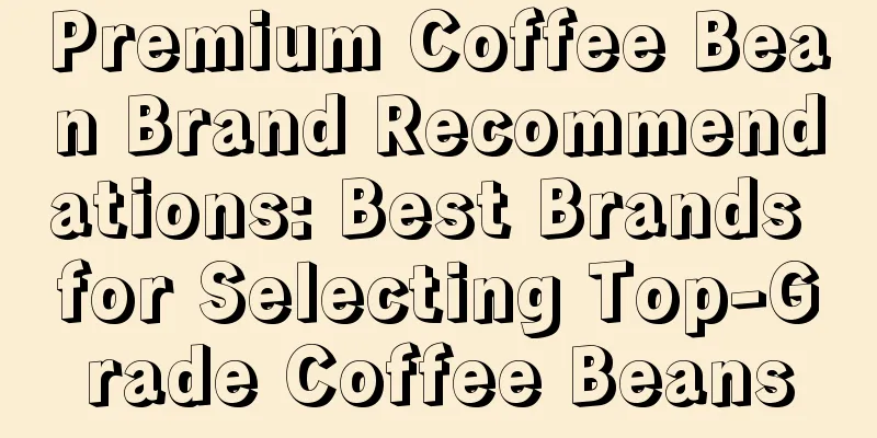 Premium Coffee Bean Brand Recommendations: Best Brands for Selecting Top-Grade Coffee Beans