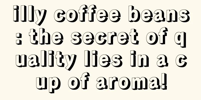 illy coffee beans: the secret of quality lies in a cup of aroma!