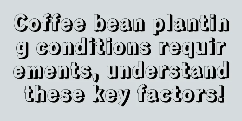 Coffee bean planting conditions requirements, understand these key factors!