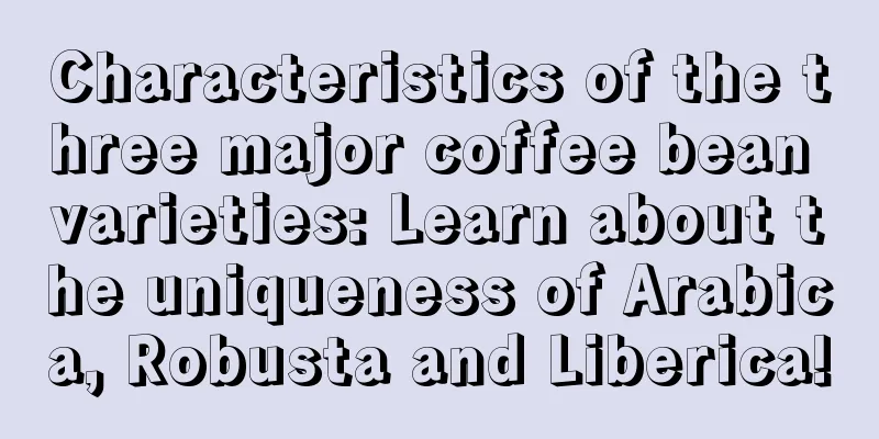 Characteristics of the three major coffee bean varieties: Learn about the uniqueness of Arabica, Robusta and Liberica!