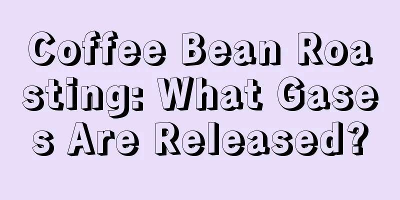 Coffee Bean Roasting: What Gases Are Released?