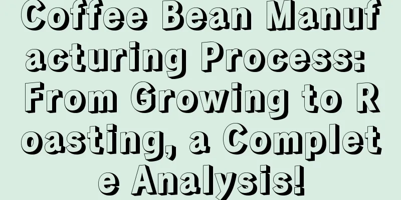 Coffee Bean Manufacturing Process: From Growing to Roasting, a Complete Analysis!