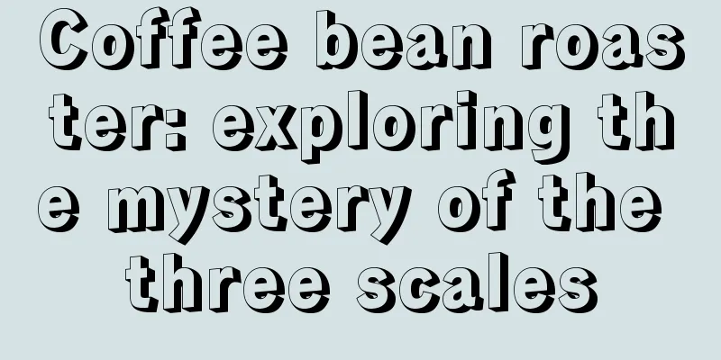 Coffee bean roaster: exploring the mystery of the three scales