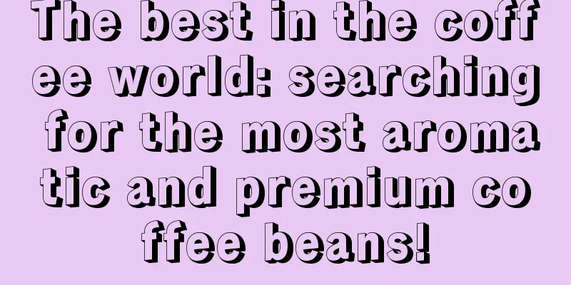 The best in the coffee world: searching for the most aromatic and premium coffee beans!