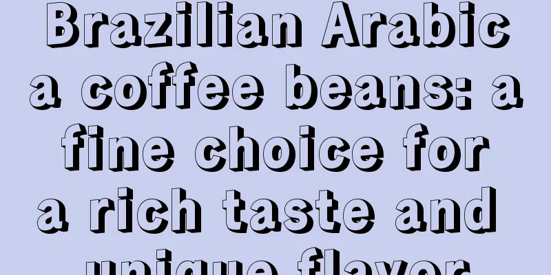 Brazilian Arabica coffee beans: a fine choice for a rich taste and unique flavor