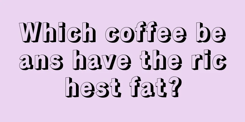 Which coffee beans have the richest fat?