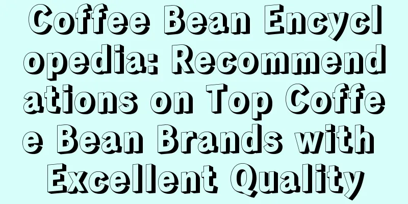 Coffee Bean Encyclopedia: Recommendations on Top Coffee Bean Brands with Excellent Quality