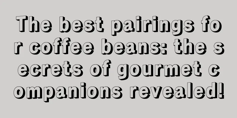 The best pairings for coffee beans: the secrets of gourmet companions revealed!