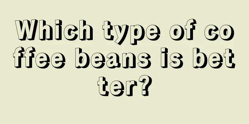 Which type of coffee beans is better?