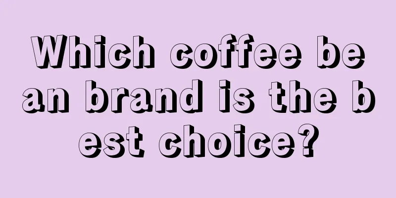 Which coffee bean brand is the best choice?