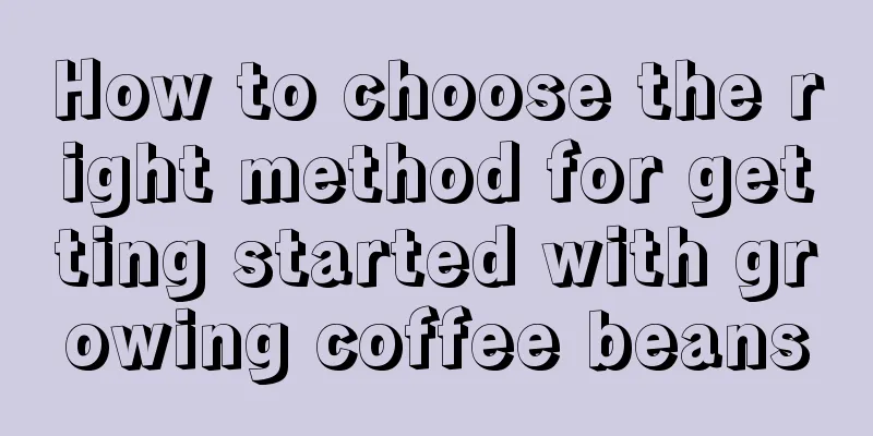 How to choose the right method for getting started with growing coffee beans